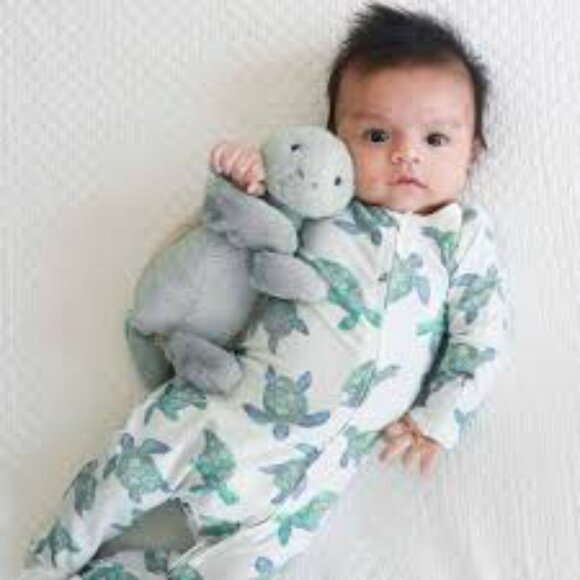 Caden Lane Totally Turtles Zipper Footie - Picture 4 of 4